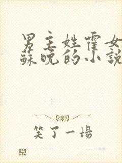 男主姓霍女主姓苏晚的小说