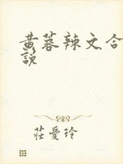 黄蓉辣文合集小说封面