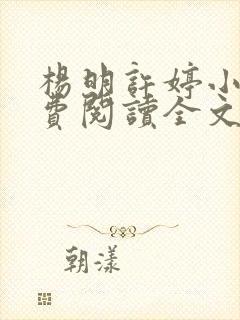 杨明许婷小说免费阅读全文最新章节