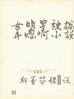 女明星被总裁玩弄嗯啊小说封面