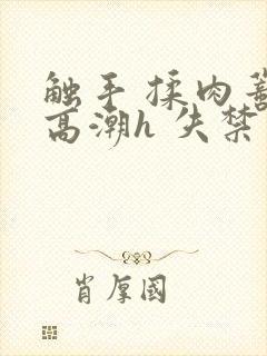 触手 揉肉蒂 高潮h 失禁小说