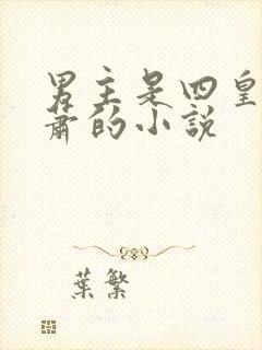 男主是四皇子姓萧的小说