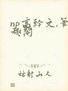 np高干文,笔趣阁