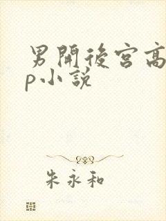 男开后宫高hnp小说