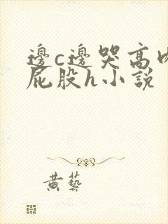 边c边哭高肉打屁股h小说封面