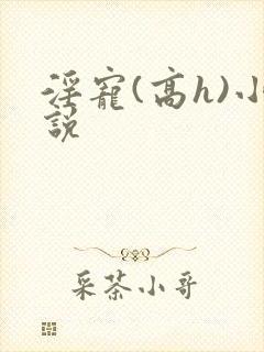 淫宠(高h)小说封面