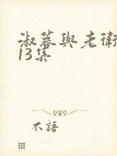 淑蓉与老卫1—13集