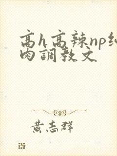 高h高辣np纯肉调教文