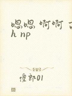 嗯嗯 啊啊 高h np封面