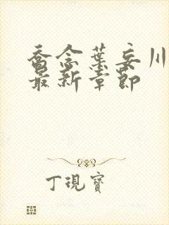 乔念叶妄川小说最新章节