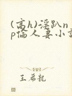 (高h)淫趴np伦人妻小说