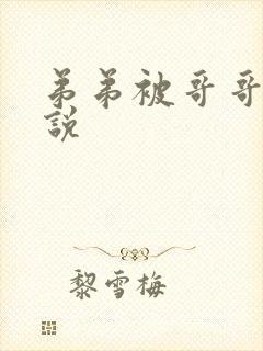 弟弟被哥哥插小说