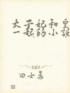 太子妃和皇上在一起的小说