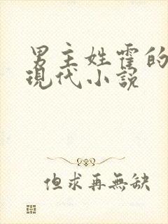 男主姓霍的总裁现代小说