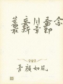 叶妄川乔念小说最新章节