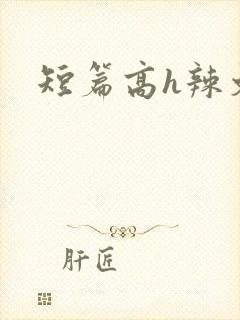 短篇高h辣文