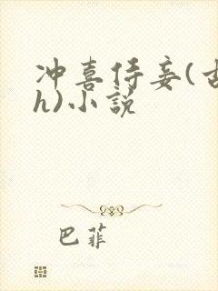 冲喜侍妾(古言h)小说