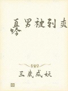 直男被到爽翻呻吟封面