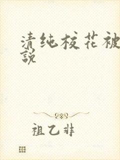 清纯校花被草小说