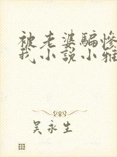 被老婆骗惨了的我小说小雅免费阅读