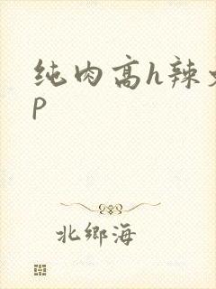 纯肉高h辣文np