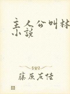 主人公叫林凡的小说