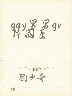 gay男男gv片国产