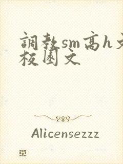 调教sm高h文校园文