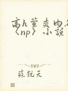高h荤爽肉欲文〈np〉小说