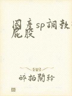 国产sp调教打屁股