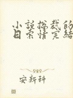 小说总裁的33日索情完结