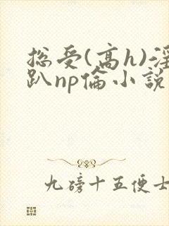 总受(高h)淫趴np伦小说封面