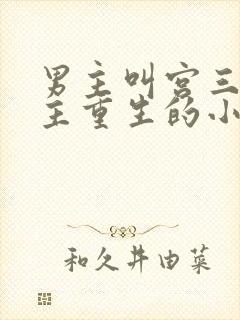 男主叫宫三爷女主重生的小说