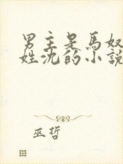 男主是马奴女主姓沈的小说