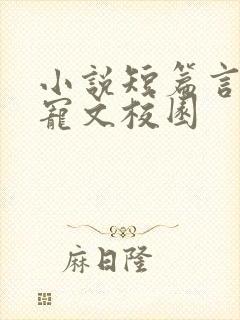 小说短篇言情甜宠文校园