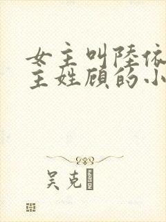 女主叫陆依依男主姓顾的小说