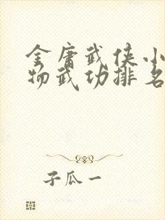 金庸武侠小说人物武功排名