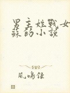 男主姓战女主姓苏的小说