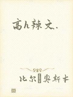 高h辣文.封面