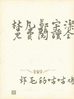 林凡郑宇洁小说免费阅读全文封面