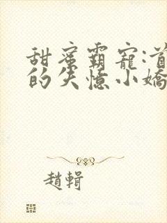 甜蜜霸宠:首席的失忆小娇妻免费阅读封面