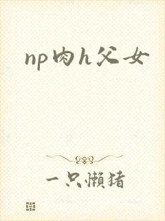 np肉h父女封面