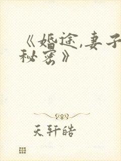 《婚途,妻子的秘密》