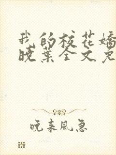 我的校花娇妻秦晓叶全文免费阅读封面