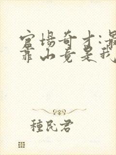 官场奇才:最强靠山竟是我自己李澜小说最