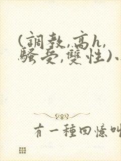 (调教,高h,骚受,双性)小说