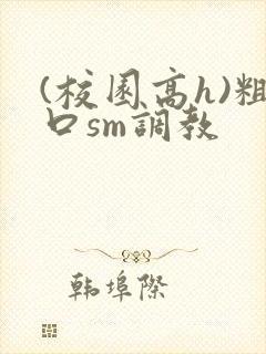 (校园高h)粗口sm调教