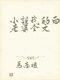 小说我的白富美老婆全文