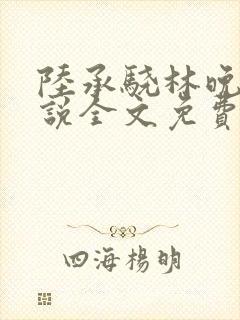 陆承骁林晚星小说全文免费阅读最新