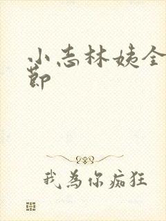 小志林姨全部章节